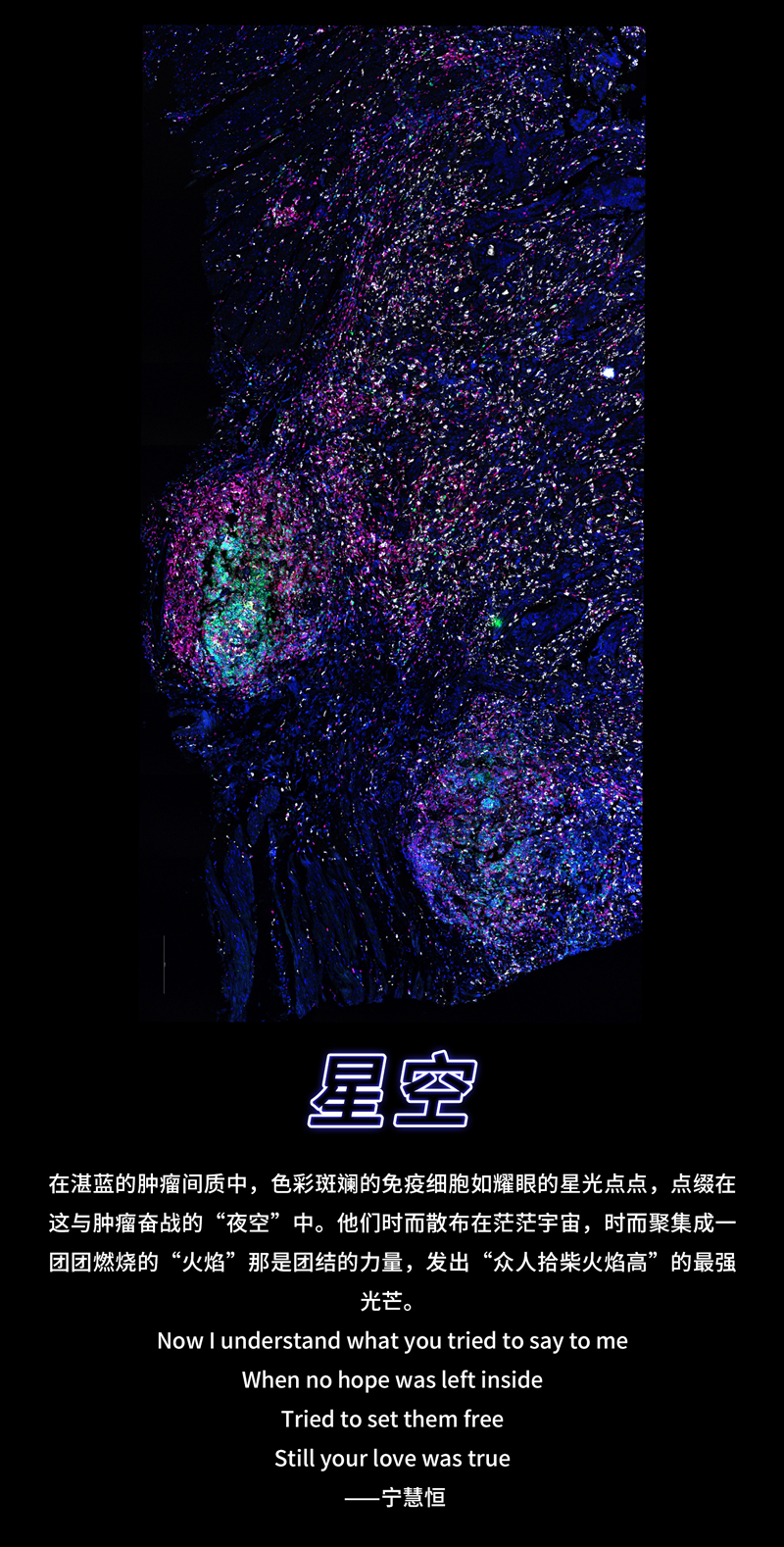 18.png
